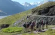 Alpy Walijskie. Od Mont Blanc po Matterhorn czyli Wysoką Drogą do Zermatt/8