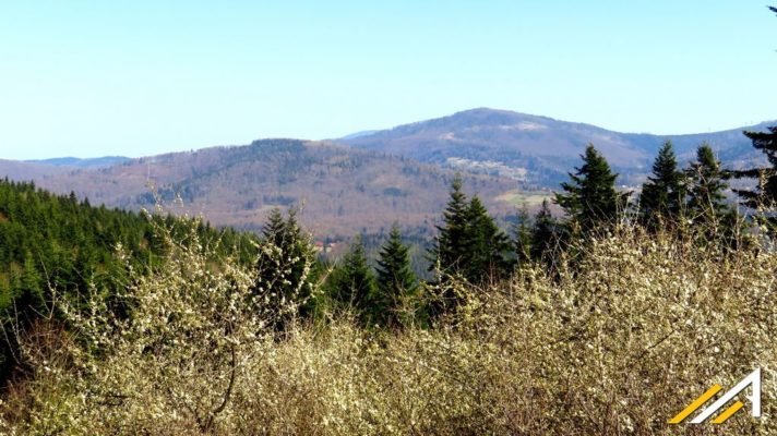 Widok z okolic Gachowizny w kierunku Pasma Jałowieckiego